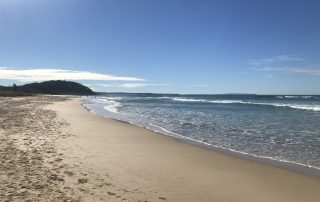 IMG_3839